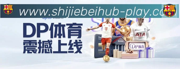 未来规划